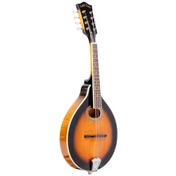 Gold Tone GM-50+ A-Stil Mandoline mit Tonabnehmer und Tasche