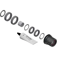 DT Swiss Service-/Upgrade-Kit Ratchet LN