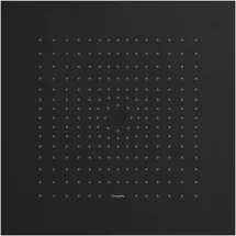 Hansgrohe Raindance E Kopfbrause, 1 Strahlart, 26253670