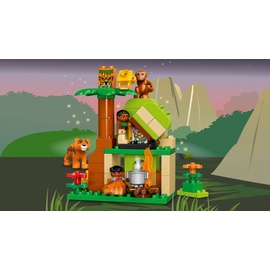 LEGO Duplo Dschungel 10804