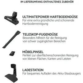 AEG Clean 5000 Akku-Staubsauger AS52CP21OG