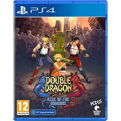 Double Dragon Gaiden Rise of the Dragons - PS4 [EU Version]
