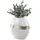 Formano Vase 20 Goldrand (1x)