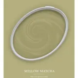 A.S. Creations Wandfarbe Mellow Matcha Grün matt 2,5 l