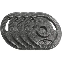 OEM Lastengarnitur Gusseisen 4 x 1,25 kg Hanteln schwarz