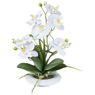 Gasper künstliche Orchidee Phalaenopsis H. 40cm weiß in weißem Keramiktopf
