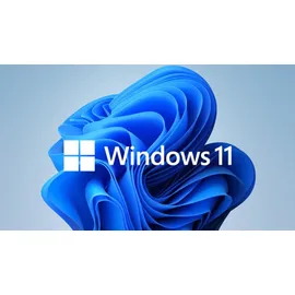 Microsoft Windows 11 Pro ESD DE