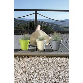 Prosperplast Lofly 13,4 x 13,4 x 12 cm Weiß
