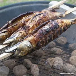 Papstar Grill-Spieße 80 cm Birkenholz mehrfarbig