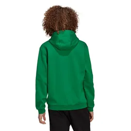 Adidas Entrada 22 Sweat Hoodie Team Green/White L