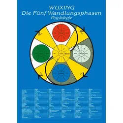 Die Fünf Wandlungsphasen: Physiologie