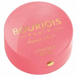 Bourjois Little Round Pot Blush 85 Sienne