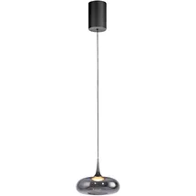Schöner Wohnen Posh 1-flg. dimmbar 22 cm grau Glas