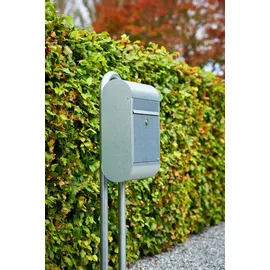 Allux 6000 stahl