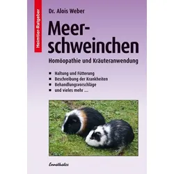 Meerschweinchen