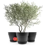 BigDean Blumentopf 40 Ø x 33,5 cm Anthrazit