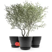 BigDean Blumentopf 40 Ø x 33,5 cm Anthrazit