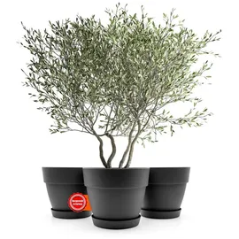 BigDean Blumentopf 40 Ø x 33,5 cm Anthrazit