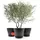 BigDean Blumentopf 40 Ø x 33,5 cm Anthrazit