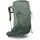 Osprey Stratos 36 Rucksack Pine Leaf Green