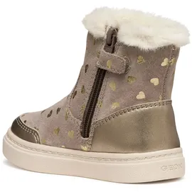 GEOX Nashik Ankle-Boots Beige 20
