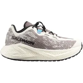 Salomon Aero Glide 4 GRVL Herren Vanilla Ice/Black 36