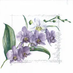 ti-flair 20 Servietten Papier 33x33cm 3-lagig - hochwertige Einweg Papierservietten für Feier Hochzeit Geburtstag Frühlingsdeko Sommer Blumen Orchideen Violett