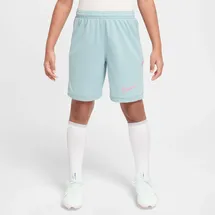 Nike Academy 25 Dri-FIT Shorts türkis M