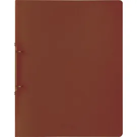 Brunnen Ringbuch FACT!pp braun