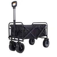 Eneway Bollero E-Bollerwagen Elektrischer Bollerwagen schwarz