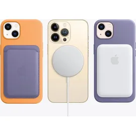 Apple iPhone 12 mini Leder Case mit MagSafe schwarz