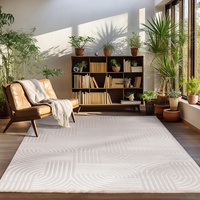Carpettex Kurzflor Teppich Wohnzimmer Beige Teppich Skandinavisch Stil Großer Teppich 3D Effekt 240 x 340 cm - Waschbarer Teppich Schlafzimmer Küchenteppich Boho Muster Weicher und Flauschiger Teppich