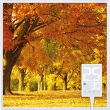 Heidenfeld Infrarotheizung HF-HP105, mit Bild, 16 Motive, 10 J. Garantie, Thermostat, Wandmontage (400 Watt, Herbst)