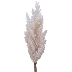 Kunstblume PAMPASGRAS creme - beige