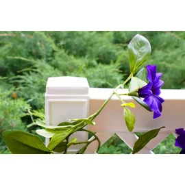 KHW Rankgitter 100 x 6 x 140 cm Weiß