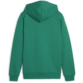 Puma teamGOAL Casuals Hoodie Jungen 05 sport green/white 152