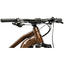 KROSS E-MTB Fully 29 Zoll RH 41 cm braun