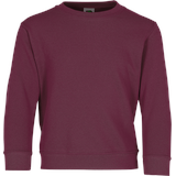 Fruit of the Loom KIDS CLASSIC SET-IN SWEAT - Unisex Kinder Sweatshirt, burgund, 164