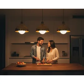 Philips LED-Lampe 76457900 17,5W E27 warmweiß