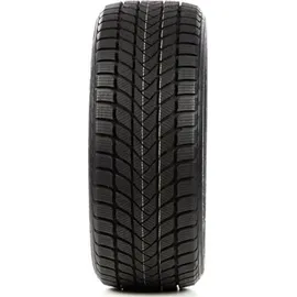 Delinte WD6 205/55 R17 95H