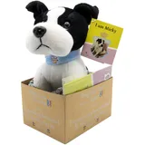 Joy Toy Prinzessin Maja von Hohenzollern Micky Adopt me Plüsch 18 cm mit Armband für den neuen BFF und illustriertem Vorlesebuch in Geschenkkarton 12x15x25 cm, Multicolor, One Size