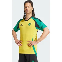 Jamaika 24 Heimtrikot 2XL