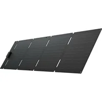 EcoFlow Solarpanel, Solarpanel (60 W, 2 kg)