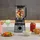 Ninja Detect Power Mixer Pro TB201EU Standmixer Silber