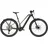 2026 29 Zoll Trapez monza grey/UD carbon M