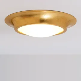 Holländer Spettacolo (085 1603)