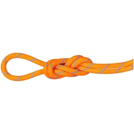 Mammut 8.7 Alpine Sender Dry Rope Kletterseil Orange/Weiß