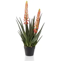 Emerald Künstliche Aloe - | 80 cm