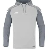 Herren Kapuzensweatshirt Performance Soft grey/steingrau 4XL