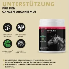 Peticare Detox-Mix Pulver 460 g